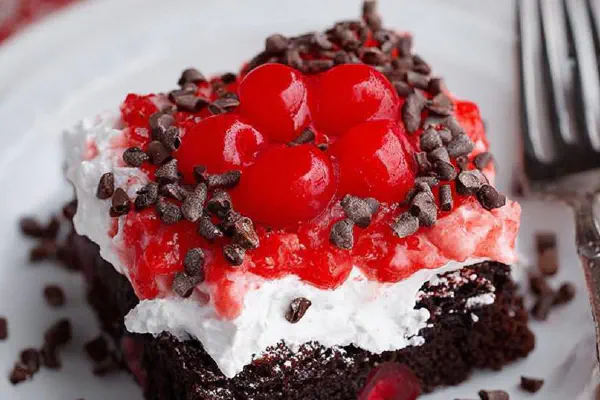 Dark Mocha Fudge Cake