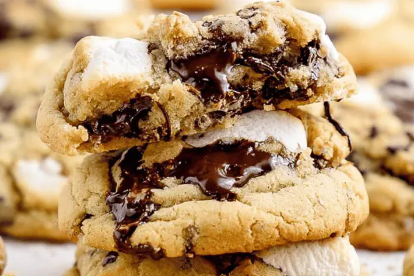 Chocolate Peanut Butter Cookies