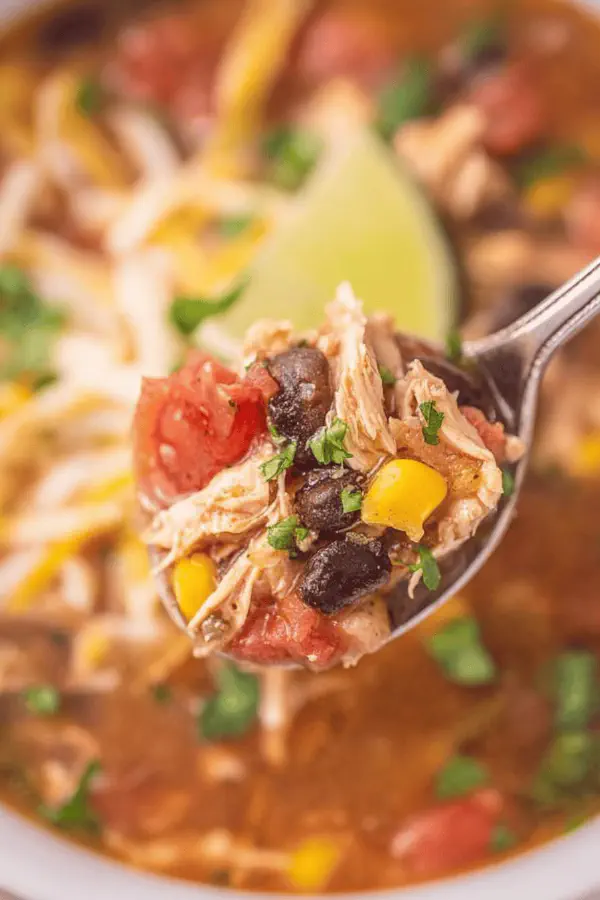 Hearty Chicken Chili Soup