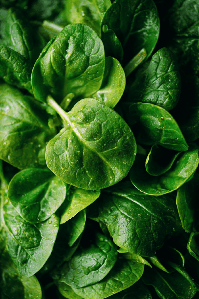 Layered Green Salad