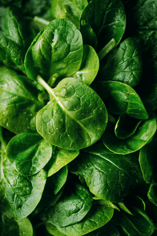 Layered Green Salad