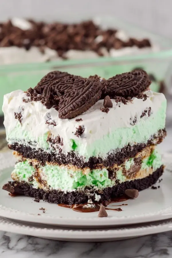 Mint Chocolate Chip Ice Cream Cake