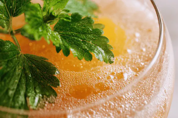 Frozen Citrus Tequila Slush