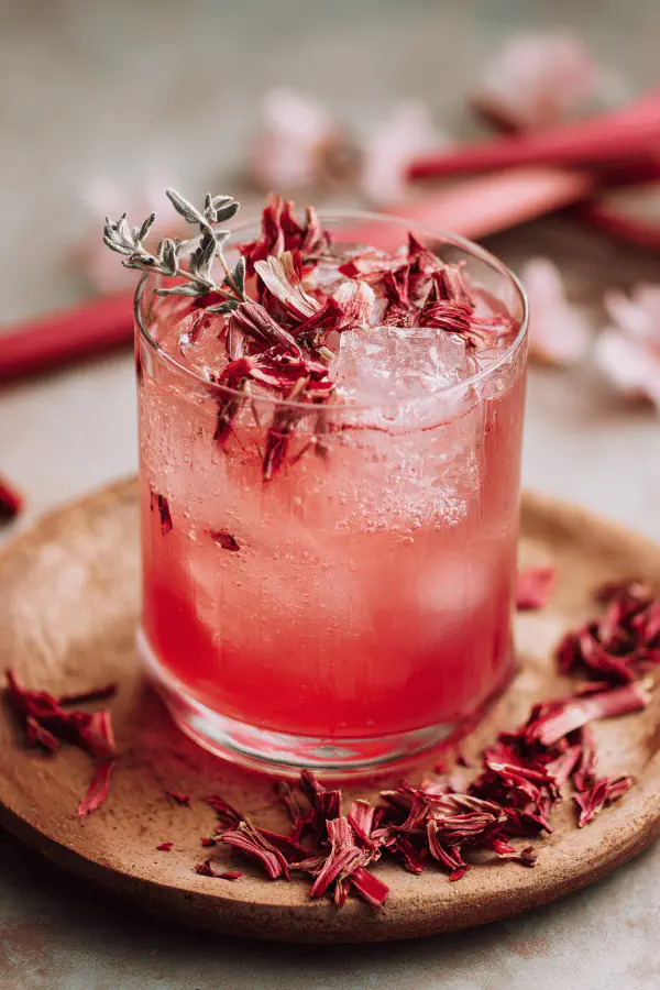 Rhubarb Hibiscus Spritz