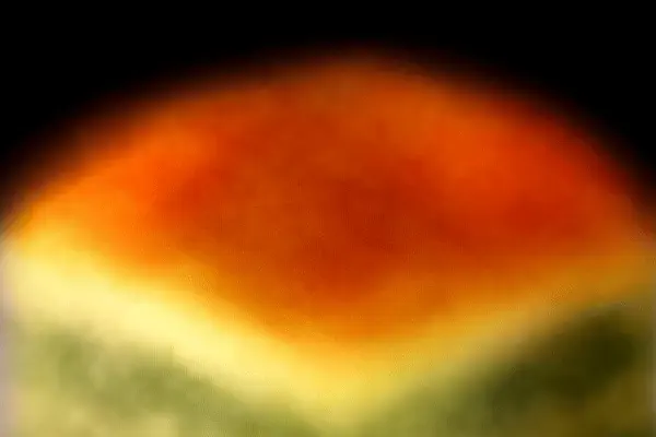 Red Wine Pappardelles with Meat Sauce