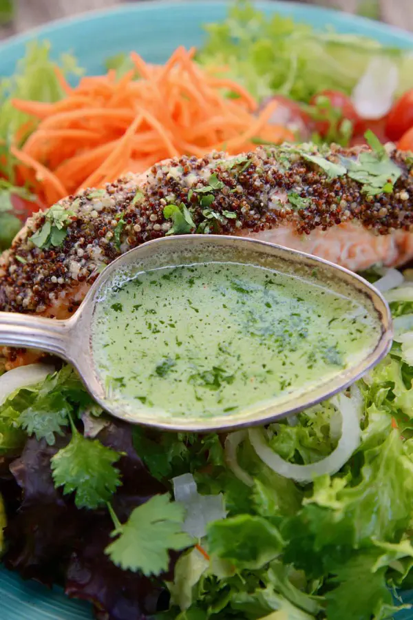 Spicy Citrus Herb Vinaigrette