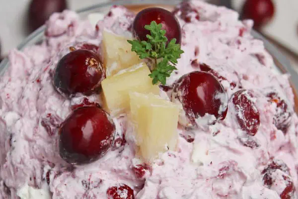 Cranberry Pineapple Mold