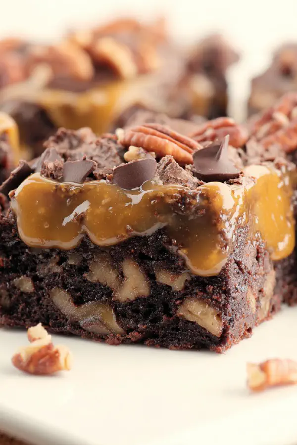 Twisty Turtle Brownies