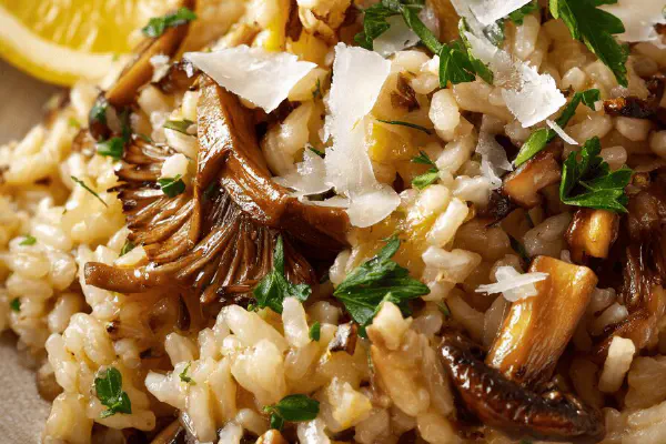 Rustic Pappardelle Bolognese